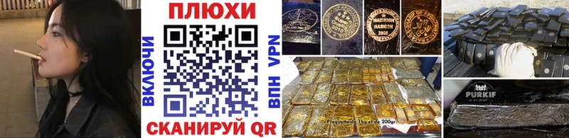 Купить закладки  Красноармейск  ГАШ VHQ 