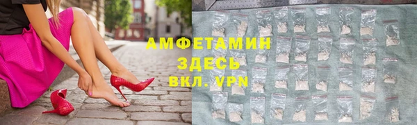 мдпв Инта