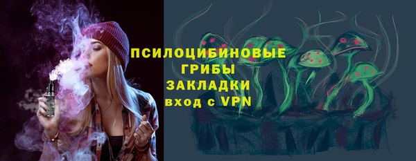 ГАЛЛЮЦИНОГЕННЫЕ ГРИБЫ Касимов