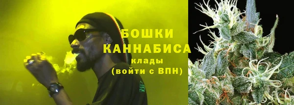 мдпв Инта