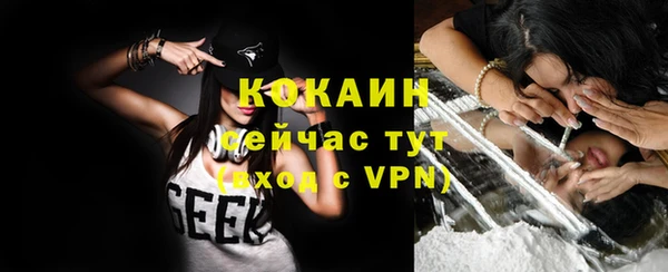 мдпв Инта