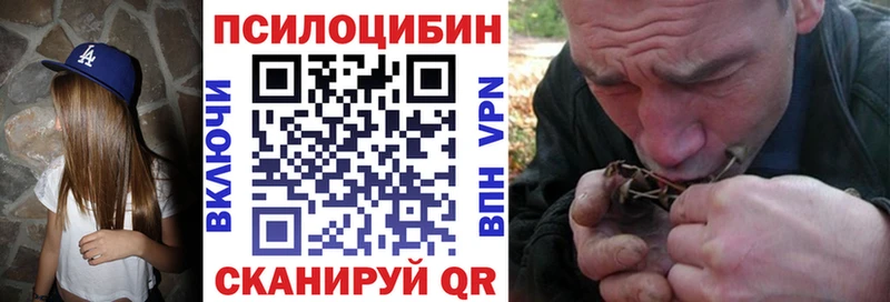Купить где  Красноармейск  Псилоцибиновые грибы мухоморы 